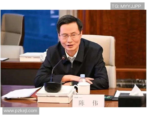 深度对话陈伟揭秘和平精英背后的奋斗与成长历程